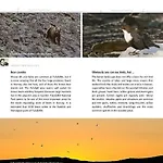 15 - Fulufjellets National Parks -this Is The Place Where Norway And Sweden Meet In A Large Protected Area For Animals And Nature Apartment