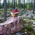 Apartment 15 - Fulufjellets National Parks -this Is The Place Where Norway And Sweden Meet In A Large Protected Area For Animals And Nature *