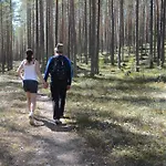 15 - Fulufjellets National Parks -this Is The Place Where Norway And Sweden Meet In A Large Protected Area For Animals And Nature Ljordalen