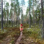 15 - Fulufjellets National Parks -this Is The Place Where Norway And Sweden Meet In A Large Protected Area For Animals And Nature *