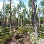 Apartment 15 - Fulufjellets National Parks -this Is The Place Where Norway And Sweden Meet In A Large Protected Area For Animals And Nature Ljordalen