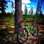 Lejlighed 15 - Fulufjellets National Parks -this Is The Place Where Norway And Sweden Meet In A Large Protected Area For Animals And Nature