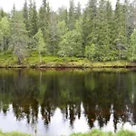 15 - Fulufjellets National Parks -this Is The Place Where Norway And Sweden Meet In A Large Protected Area For Animals And Nature