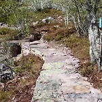 Apartment 15 - Fulufjellets National Parks -this Is The Place Where Norway And Sweden Meet In A Large Protected Area For Animals And Nature *