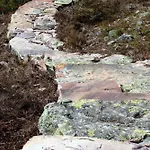 15 - Fulufjellets National Parks -this Is The Place Where Norway And Sweden Meet In A Large Protected Area For Animals And Nature Apartment *