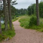 15 - Fulufjellets National Parks -this Is The Place Where Norway And Sweden Meet In A Large Protected Area For Animals And Nature