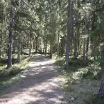 Apartmán 15 - Fulufjellets National Parks -this Is The Place Where Norway And Sweden Meet In A Large Protected Area For Animals And Nature *