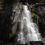 15 - Fulufjellets National Parks -this Is The Place Where Norway And Sweden Meet In A Large Protected Area For Animals And Nature * Ljordalen