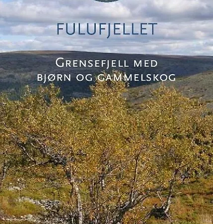 アパート 15 - Fulufjellets National Parks -this Is The Place Where Norway And Sweden Meet In A Large Protected Area For Animals And Nature *