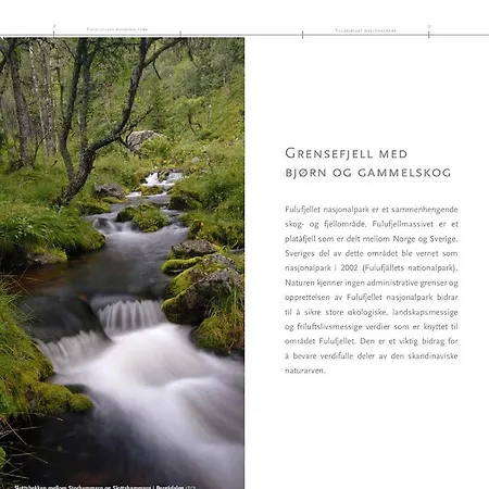 15 - Fulufjellets Nasjonalparker - Sno - Alpint - Langrenn - Snoscooter Apartment Ljordalen