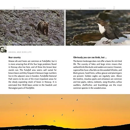 15 - Fulufjellets National Parks -this Is The Place Where Norway And Sweden Meet In A Large Protected Area For Animals And Nature アパート