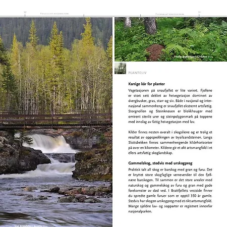 アパート 15 - Fulufjellets National Parks -this Is The Place Where Norway And Sweden Meet In A Large Protected Area For Animals And Nature Ljordalen
