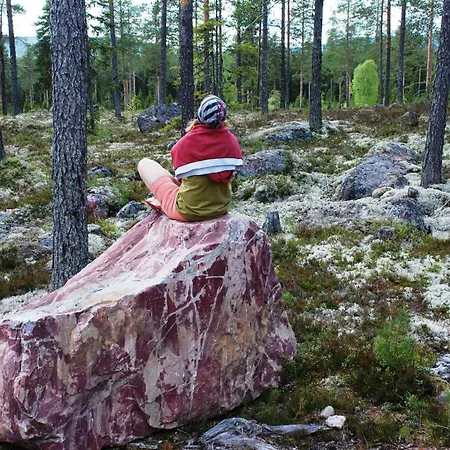아파트 15 - Fulufjellets National Parks -this Is The Place Where Norway And Sweden Meet In A Large Protected Area For Animals And Nature *