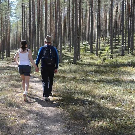 15 - Fulufjellets National Parks -this Is The Place Where Norway And Sweden Meet In A Large Protected Area For Animals And Nature Ljordalen