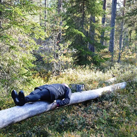 아파트 15 - Fulufjellets National Parks -this Is The Place Where Norway And Sweden Meet In A Large Protected Area For Animals And Nature *