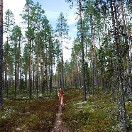아파트 15 - Fulufjellets National Parks -this Is The Place Where Norway And Sweden Meet In A Large Protected Area For Animals And Nature