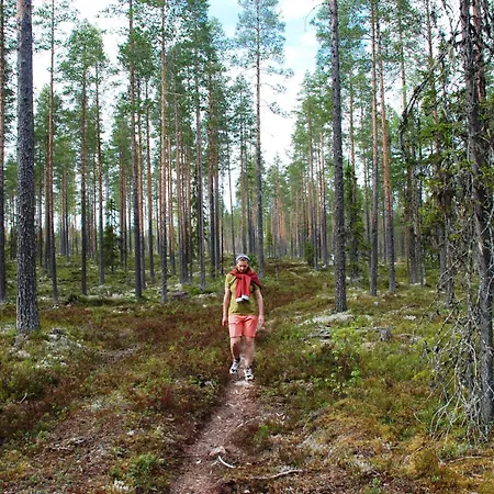 15 - Fulufjellets Nasjonalparker - Sno - Alpint - Langrenn - Snoscooter *