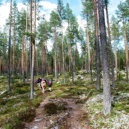 아파트 15 - Fulufjellets National Parks -this Is The Place Where Norway And Sweden Meet In A Large Protected Area For Animals And Nature Ljordalen