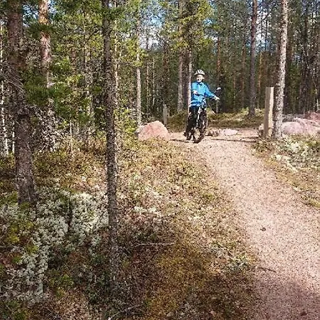 15 - Fulufjellets Nasjonalparker - Natur-, Dyre- Og Fugleopplevelser * Ljordalen