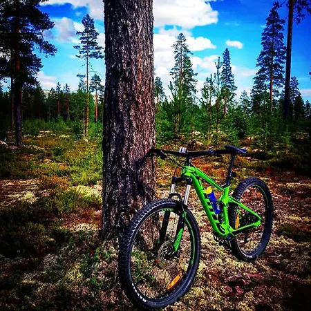 アパート 15 - Fulufjellets National Parks -this Is The Place Where Norway And Sweden Meet In A Large Protected Area For Animals And Nature