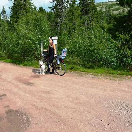 15 - Fulufjellets National Parks -this Is The Place Where Norway And Sweden Meet In A Large Protected Area For Animals And Nature * Ljordalen