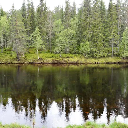 15 - Fulufjellets National Parks -this Is The Place Where Norway And Sweden Meet In A Large Protected Area For Animals And Nature