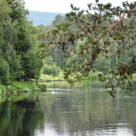 아파트 15 - Fulufjellets National Parks -this Is The Place Where Norway And Sweden Meet In A Large Protected Area For Animals And Nature *