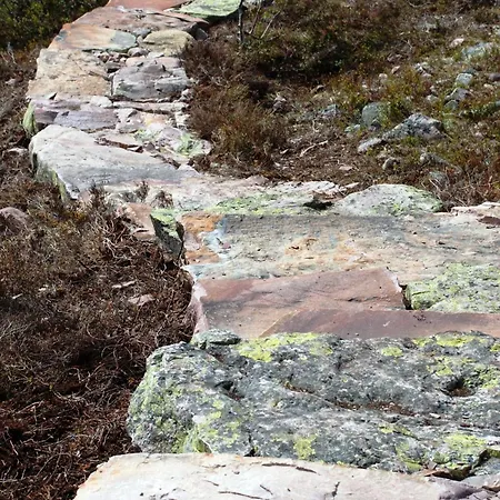 15 - Fulufjellets National Parks -this Is The Place Where Norway And Sweden Meet In A Large Protected Area For Animals And Nature Appartement *