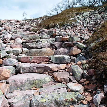 Lejlighed 15 - Fulufjellets Nasjonalparker - Natur-, Dyre- Og Fugleopplevelser Ljordalen