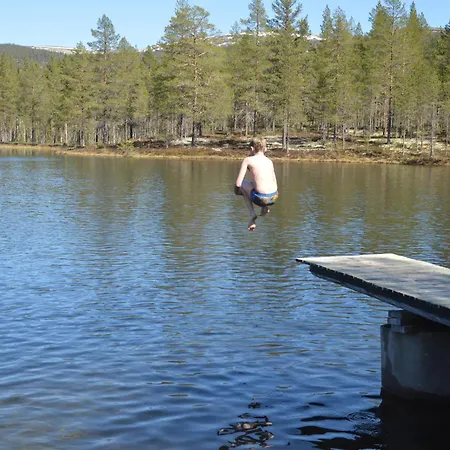 15 - Fulufjellets Nasjonalparker - Sno - Alpint - Langrenn - Snoscooter Apartment