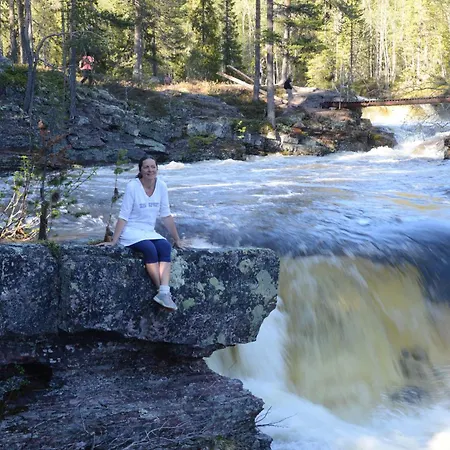 15 - Fulufjellets Nasjonalparker - Sno - Alpint - Langrenn - Snoscooter * Ljordalen