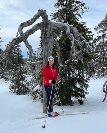 15 - Fulufjellets Nasjonalparker - Sno - Alpint - Langrenn - Snoscooter Apartment