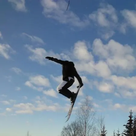 15 - Fulufjellets Nasjonalparker - Sno - Alpint - Langrenn - Snoscooter Apartment *