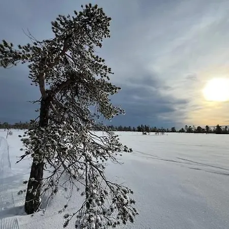 15 - Fulufjellets Nasjonalparker - Sno - Alpint - Langrenn - Snoscooter Apartment Ljordalen