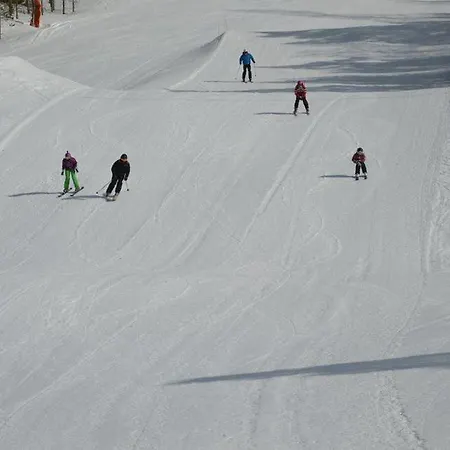 Apartment 15 - Fulufjellets Nasjonalparker - Sno - Alpint - Langrenn - Snoscooter