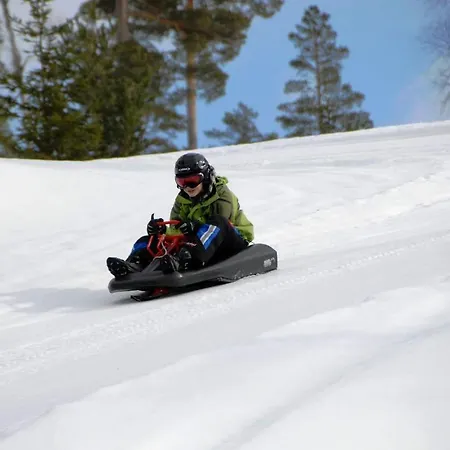 15 - Fulufjellets Nasjonalparker - Sno - Alpint - Langrenn - Snoscooter