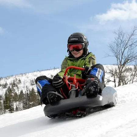 Apartment 15 - Fulufjellets Nasjonalparker - Sno - Alpint - Langrenn - Snoscooter *