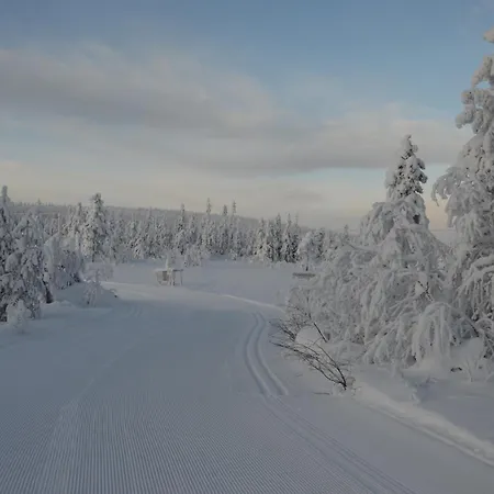 15 - Fulufjellets Nasjonalparker - Sno - Alpint - Langrenn - Snoscooter * Ljordalen