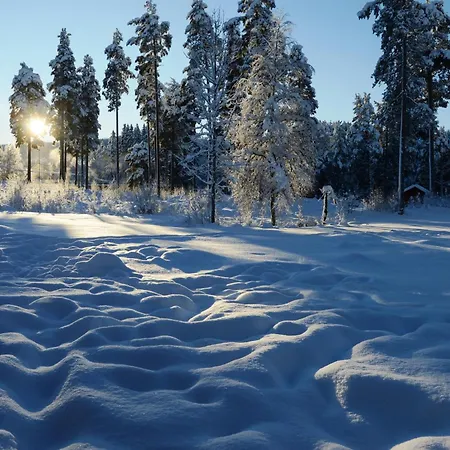 Apartment 15 - Fulufjellets Nasjonalparker - Sno - Alpint - Langrenn - Snoscooter