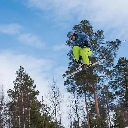 Apartment 15 - Fulufjellets Nasjonalparker - Sno - Alpint - Langrenn - Snoscooter *