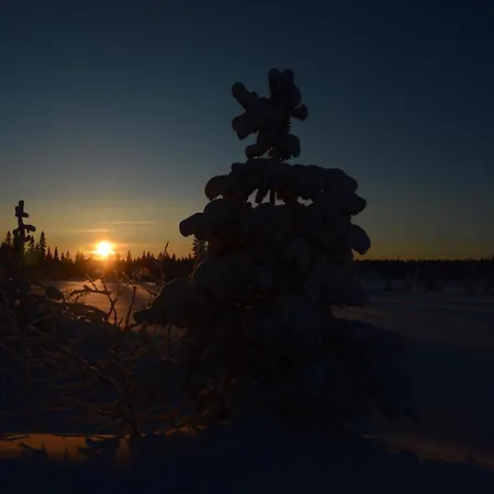 Apartment 15 - Fulufjellets Nasjonalparker - Sno - Alpint - Langrenn - Snoscooter *