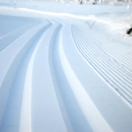 15 - Fulufjellets Nasjonalparker - Sno - Alpint - Langrenn - Snoscooter Apartment Ljordalen