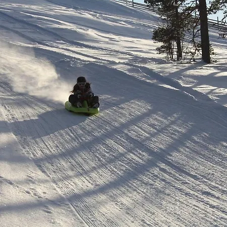 15 - Fulufjellets Nasjonalparker - Sno - Alpint - Langrenn - Snoscooter *