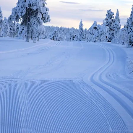 15 - Fulufjellets Nasjonalparker - Sno - Alpint - Langrenn - Snoscooter * Ljordalen