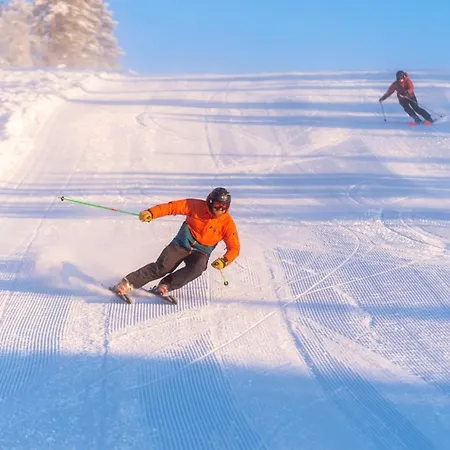 15 - Fulufjellets Nasjonalparker - Sno - Alpint - Langrenn - Snoscooter Apartment Ljordalen