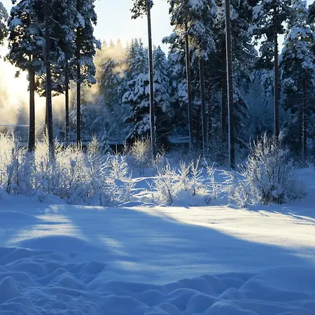 Apartment 15 - Fulufjellets Nasjonalparker - Sno - Alpint - Langrenn - Snoscooter Ljordalen