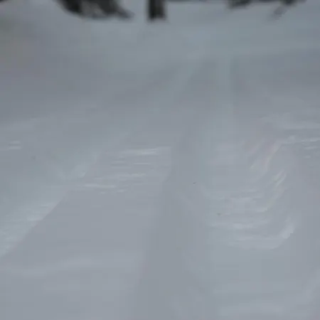 15 - Fulufjellets Nasjonalparker - Sno - Alpint - Langrenn - Snoscooter *