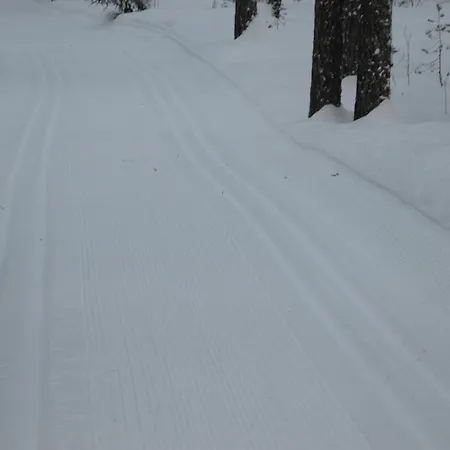 15 - Fulufjellets Nasjonalparker - Sno - Alpint - Langrenn - Snoscooter * Ljordalen