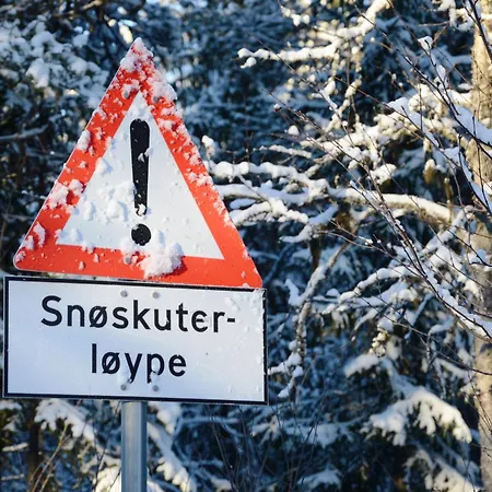 15 - Fulufjellets Nasjonalparker - Sno - Alpint - Langrenn - Snoscooter * Ljordalen