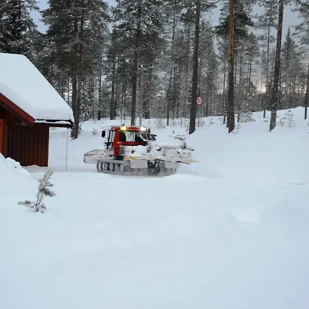 15 - Fulufjellets Nasjonalparker - Sno - Alpint - Langrenn - Snoscooter Apartment Ljordalen